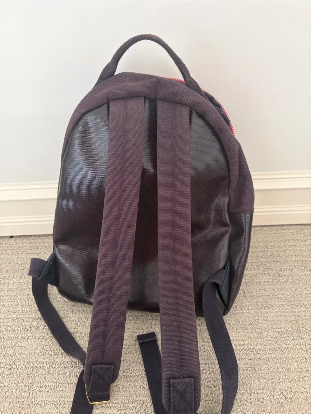 Tommy Hilfiger Navy & Red Canvas Backpack